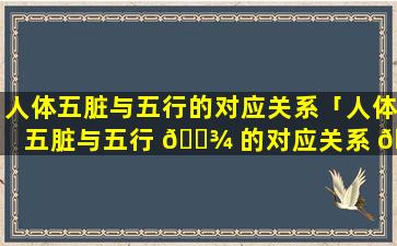 人体五脏与五行的对应关系「人体五脏与五行 🌾 的对应关系 🐈 情绪是什么」